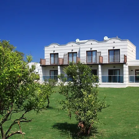 Meltem Ortakentyahşi