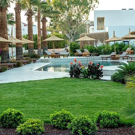 Meltem Ortakentyahşi