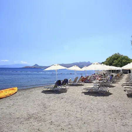 Meltem Ortakentyahşi